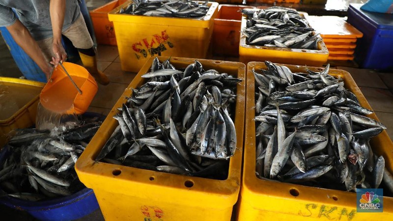 Pekerja melakukan bongkar muat ikan di Pasar Ikan Muara Baru, Jakarta, Kamis (9/12/2021). (CNBC Indonesia/Tri Susilo)