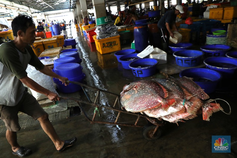 Pekerja melakukan bongkar muat ikan di Pasar Ikan Muara Baru, Jakarta, Kamis (9/12/2021). (CNBC Indonesia/Tri Susilo)