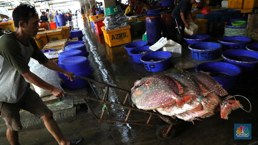 Pekerja melakukan bongkar muat ikan di Pasar Ikan Muara Baru, Jakarta, Kamis (9/12/2021). (CNBC Indonesia/Tri Susilo)