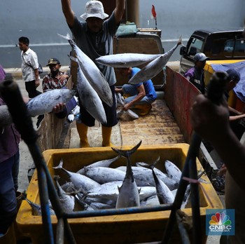 Bisnis Ikan Nggak Ada Matinya, Ekspor Perikanan 'Terbang'
