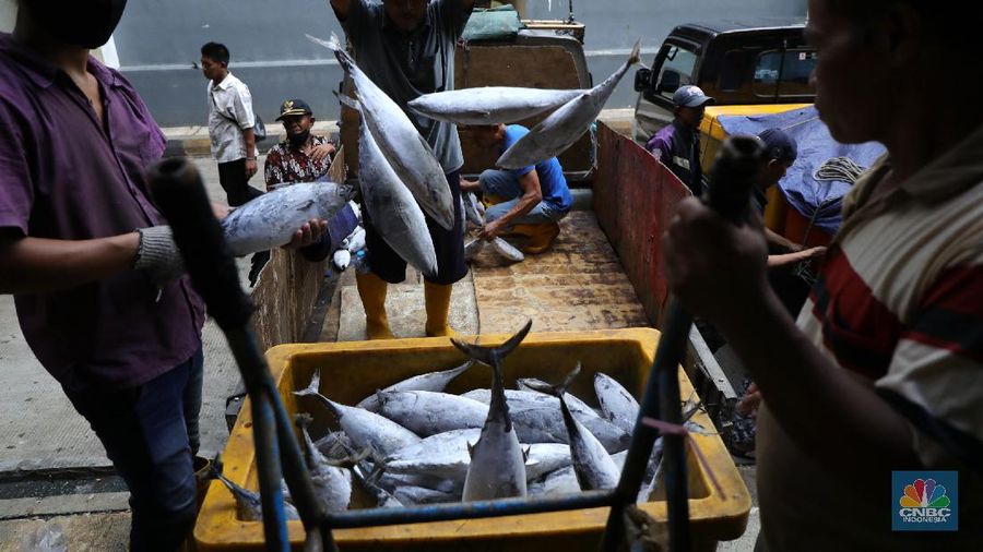 Pekerja melakukan bongkar muat ikan di Pasar Ikan Muara Baru, Jakarta, Kamis (9/12/2021). (²©²ÊÍøÕ¾/Tri Susilo)