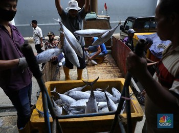 Pekerja melakukan bongkar muat ikan di Pasar Ikan Muara Baru, Jakarta, Kamis (9/12/2021). (CNBC Indonesia/Tri Susilo)