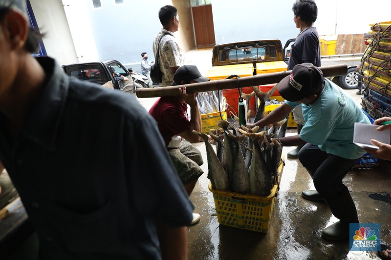 Pekerja melakukan bongkar muat ikan di Pasar Ikan Muara Baru, Jakarta, Kamis (9/12/2021). (CNBC Indonesia/Tri Susilo) Pekerja melakukan bongkar muat ikan di Pasar Ikan Muara Baru, Jakarta, Kamis (9/12/2021). (CNBC Indonesia/Tri Susilo)