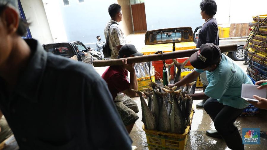 Pekerja melakukan bongkar muat ikan di Pasar Ikan Muara Baru, Jakarta, Kamis (9/12/2021). (CNBC Indonesia/Tri Susilo)