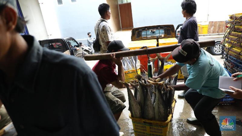 Pekerja melakukan bongkar muat ikan di Pasar Ikan Muara Baru, Jakarta, Kamis (9/12/2021). (CNBC Indonesia/Tri Susilo)