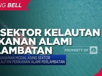 Efek Pandemi, PMA Sektor Kelautan Perikanan Melambat