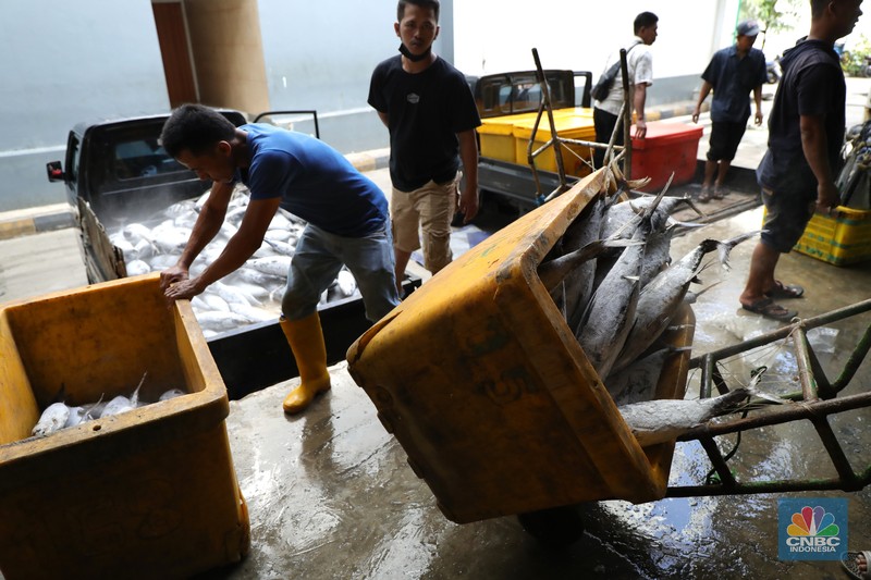 Pekerja melakukan bongkar muat ikan di Pasar Ikan Muara Baru, Jakarta, Kamis (9/12/2021). (CNBC Indonesia/Tri Susilo) Pekerja melakukan bongkar muat ikan di Pasar Ikan Muara Baru, Jakarta, Kamis (9/12/2021). (CNBC Indonesia/Tri Susilo)