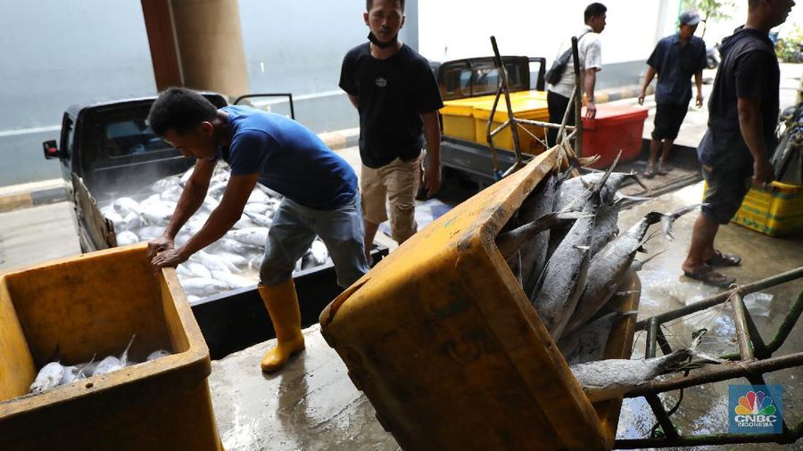 Pekerja melakukan bongkar muat ikan di Pasar Ikan Muara Baru, Jakarta, Kamis (9/12/2021). (CNBC Indonesia/Tri Susilo)