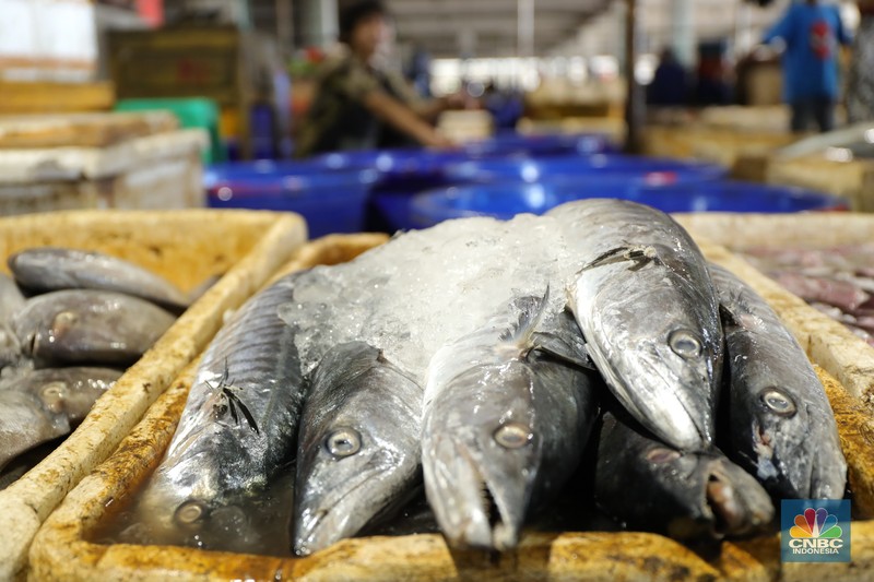 Pekerja melakukan bongkar muat ikan di Pasar Ikan Muara Baru, Jakarta, Kamis (9/12/2021). (CNBC Indonesia/Tri Susilo)