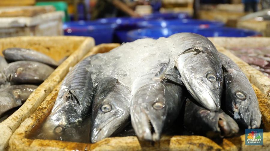 Pekerja melakukan bongkar muat ikan di Pasar Ikan Muara Baru, Jakarta, Kamis (9/12/2021). (CNBC Indonesia/Tri Susilo)