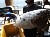 Ada 'Kulkas Raksasa', Pantura Jadi Jantung Perikanan di RI