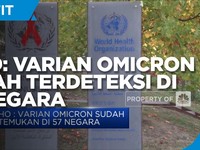 Waduh! WHO Sebut Varian Omicron Sudah Ditemukan di 57 Negara