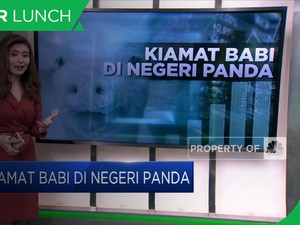 Kiamat Babi di Negeri Panda