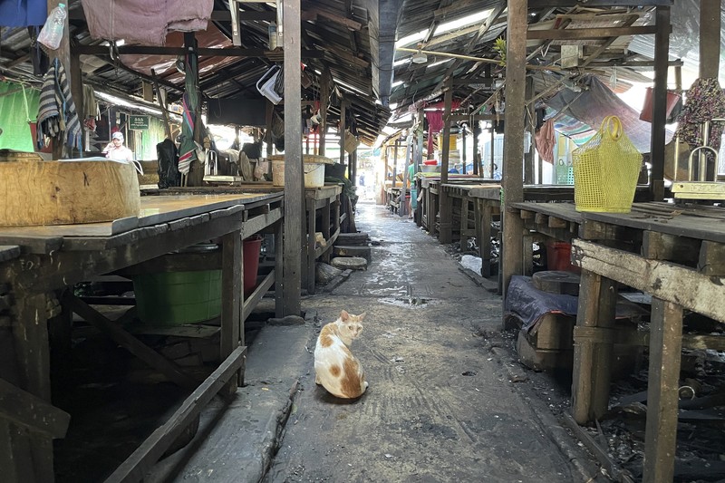 Myanmar Empty streets are seen as locals stage a