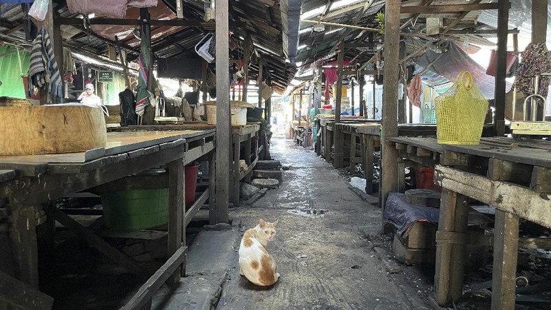 Empty streets are seen as locals stage a 