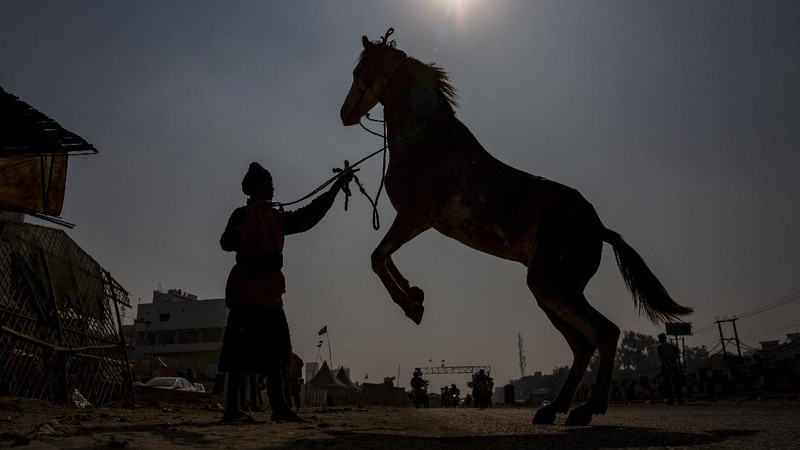 Farmers vacate a protest site, after the government agreed to their demands, including assurances to consider guaranteed prices for all produce, at the Singhu border near New Delhi, India, December 11, 2021. REUTERS/Adnan Abidi