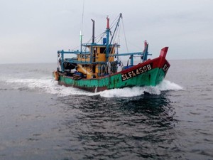 Ternyata Kapal dari 2 Negara Tetangga Ini Paling Banyak Maling Ikan di RI