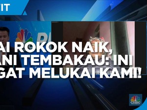 Cukai Rokok Naik, Petani Tembakau: Aturan Ini Sangat Melukai!
