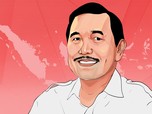 Luhut Heran Orang-orang Marah TKI tak Dipakai di Morowali Cs