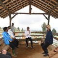 Petani Kebanjiran Impor Saat Panen, Jokowi Telepon Mendag!