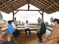 Petani Kebanjiran Impor Saat Panen, Jokowi Telepon Mendag!