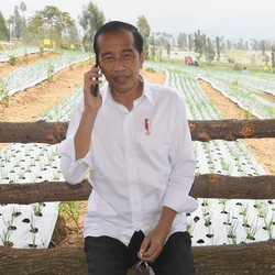 Jokowi Tiba-tiba Telepon Mendag dari Temanggung, Ada Apa?