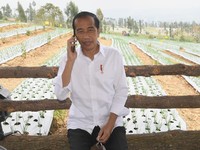 Jokowi Tiba-tiba Telepon Mendag dari Temanggung, Ada Apa?