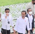 Jreng! Jokowi Siapkan Kursi untuk Wakil Menteri Pertanian