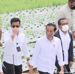 Jreng! Jokowi Siapkan Kursi untuk Wakil Menteri Pertanian
