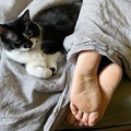 Jangan Salah, Indonesia Punya Asuransi Buat Hewan Peliharaan