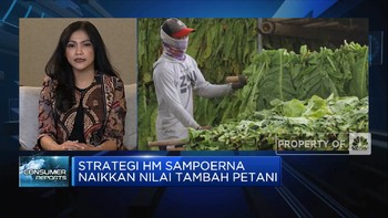 Strategi HM Sampoerna Naikkan Nilai Tambah Petani