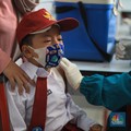 Sah! Vaksin Covid Sinovac Hanya Buat Anak Usia 6-11 Tahun
