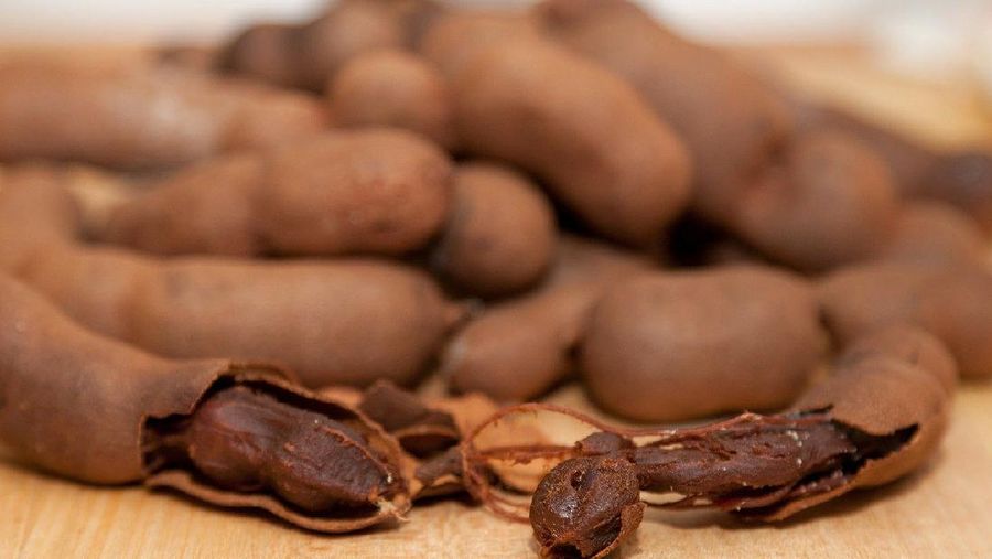 Asam jawa (Photo by PublicDomainPictures via Pixabay)