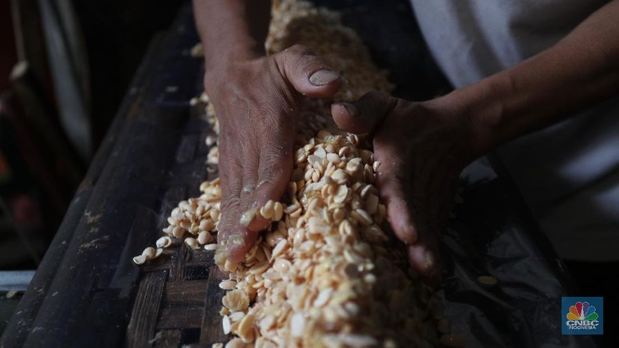 Suarso (68) menyelesaikan pembuatan tempe di kawasan Jakarta, Rabu (15/12/2021). Kementerian Perdagangan (Kemendag) memastikan, ketersediaan kedelai untuk bahan baku tempe dan tahu dalam negeri cukup untuk memenuhi kebutuhan Natal 2021 dan tahun baru 2022. Bahkan, Kemendag memperkirakan pasokan kedelai akan terjaga sampai kuartal I 2022.“Pasokan kedelai dari negara eksportir cukup baik. Saat ini negara produsen tengah memasuki masa panen, sehingga kami optimis pasokan kedelai akan cukup hingga kuartal pertama 2022,” kata Direktur Jenderal Perdagangan Luar Negeri, Oke Nurwan dikutip dari website resmi Kementerian Perdagangan.
Namun, ia tak merinci berapa jumlah pasokan kedelai yang tersedia saat ini. Ia hanya menyatakan dengan kecukupan pasokan itu, pihaknya memperkirakan harga kedelai stabil.
Sementara itu berdasarkan data Chicago Board of Trade (CBOT), harga kedelai dunia pada akhir November 2021 di sekitar USD12,17 per bushels atau setara USD446 per ton, turun dibanding awal Juni 2021 yang tercatat sebesar US$15,42 per bushel setara US$566 per ton.
