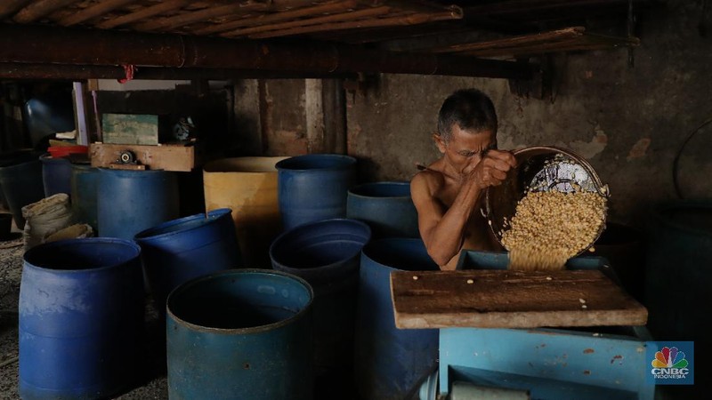 Suarso (68) menyelesaikan pembuatan tempe di kawasan Jakarta, Rabu (15/12/2021). Kementerian Perdagangan (Kemendag) memastikan, ketersediaan kedelai untuk bahan baku tempe dan tahu dalam negeri cukup untuk memenuhi kebutuhan Natal 2021 dan tahun baru 2022. Bahkan, Kemendag memperkirakan pasokan kedelai akan terjaga sampai kuartal I 2022.“Pasokan kedelai dari negara eksportir cukup baik. Saat ini negara produsen tengah memasuki masa panen, sehingga kami optimis pasokan kedelai akan cukup hingga kuartal pertama 2022,” kata Direktur Jenderal Perdagangan Luar Negeri, Oke Nurwan dikutip dari website resmi Kementerian Perdagangan.
Namun, ia tak merinci berapa jumlah pasokan kedelai yang tersedia saat ini. Ia hanya menyatakan dengan kecukupan pasokan itu, pihaknya memperkirakan harga kedelai stabil.
Sementara itu berdasarkan data Chicago Board of Trade (CBOT), harga kedelai dunia pada akhir November 2021 di sekitar USD12,17 per bushels atau setara USD446 per ton, turun dibanding awal Juni 2021 yang tercatat sebesar US$15,42 per bushel setara US$566 per ton.
