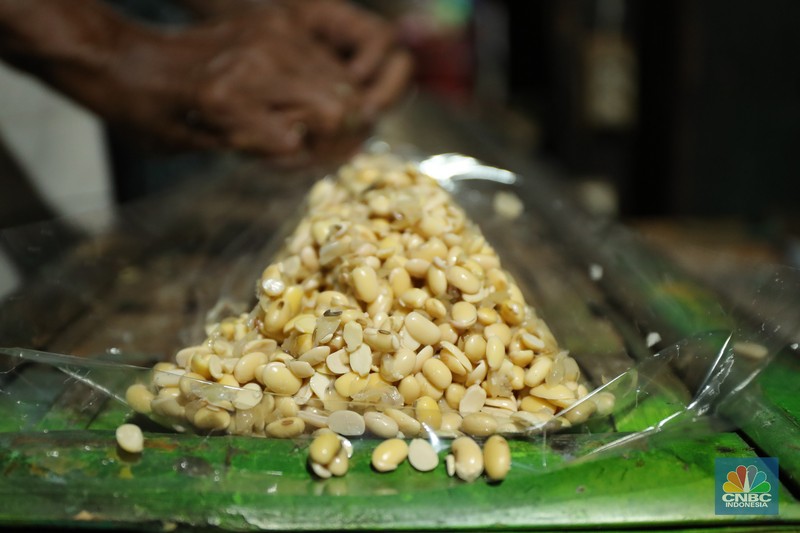 Suarso (68) menyelesaikan pembuatan tempe di kawasan Jakarta, Rabu (15/12/2021). Kementerian Perdagangan (Kemendag) memastikan, ketersediaan kedelai untuk bahan baku tempe dan tahu dalam negeri cukup untuk memenuhi kebutuhan Natal 2021 dan tahun baru 2022. Bahkan, Kemendag memperkirakan pasokan kedelai akan terjaga sampai kuartal I 2022.“Pasokan kedelai dari negara eksportir cukup baik. Saat ini negara produsen tengah memasuki masa panen, sehingga kami optimis pasokan kedelai akan cukup hingga kuartal pertama 2022,” kata Direktur Jenderal Perdagangan Luar Negeri, Oke Nurwan dikutip dari website resmi Kementerian Perdagangan.
Namun, ia tak merinci berapa jumlah pasokan kedelai yang tersedia saat ini. Ia hanya menyatakan dengan kecukupan pasokan itu, pihaknya memperkirakan harga kedelai stabil.
Sementara itu berdasarkan data Chicago Board of Trade (CBOT), harga kedelai dunia pada akhir November 2021 di sekitar USD12,17 per bushels atau setara USD446 per ton, turun dibanding awal Juni 2021 yang tercatat sebesar US$15,42 per bushel setara US$566 per ton.
