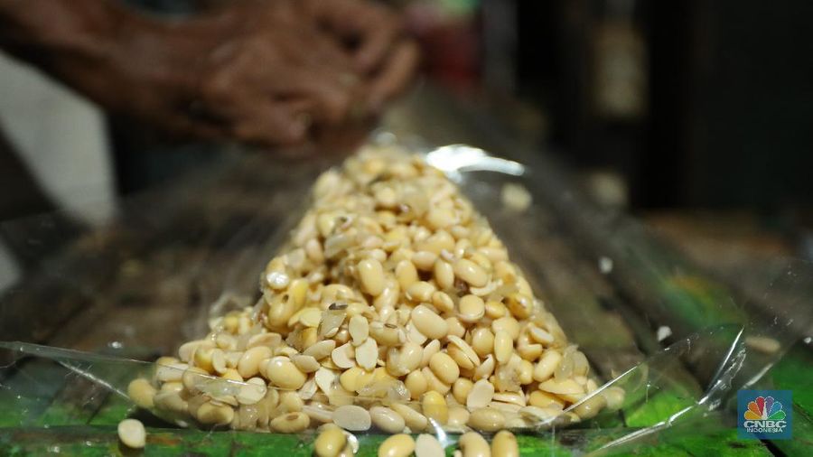 Suarso (68) menyelesaikan pembuatan tempe di kawasan Jakarta, Rabu (15/12/2021). Kementerian Perdagangan (Kemendag) memastikan, ketersediaan kedelai untuk bahan baku tempe dan tahu dalam negeri cukup untuk memenuhi kebutuhan Natal 2021 dan tahun baru 2022. Bahkan, Kemendag memperkirakan pasokan kedelai akan terjaga sampai kuartal I 2022.“Pasokan kedelai dari negara eksportir cukup baik. Saat ini negara produsen tengah memasuki masa panen, sehingga kami optimis pasokan kedelai akan cukup hingga kuartal pertama 2022,” kata Direktur Jenderal Perdagangan Luar Negeri, Oke Nurwan dikutip dari website resmi Kementerian Perdagangan.
Namun, ia tak merinci berapa jumlah pasokan kedelai yang tersedia saat ini. Ia hanya menyatakan dengan kecukupan pasokan itu, pihaknya memperkirakan harga kedelai stabil.
Sementara itu berdasarkan data Chicago Board of Trade (CBOT), harga kedelai dunia pada akhir November 2021 di sekitar USD12,17 per bushels atau setara USD446 per ton, turun dibanding awal Juni 2021 yang tercatat sebesar US$15,42 per bushel setara US$566 per ton.
