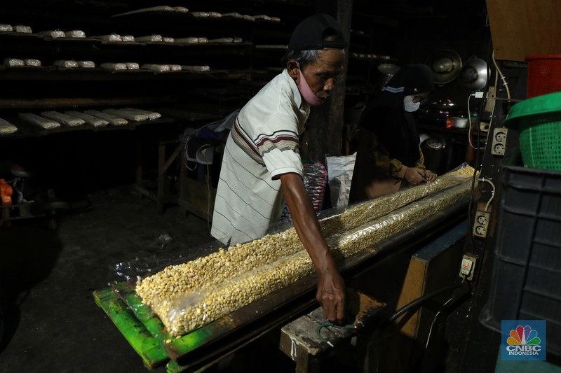 Suarso (68) menyelesaikan pembuatan tempe di kawasan Jakarta, Rabu (15/12/2021). Kementerian Perdagangan (Kemendag) memastikan, ketersediaan kedelai untuk bahan baku tempe dan tahu dalam negeri cukup untuk memenuhi kebutuhan Natal 2021 dan tahun baru 2022. Bahkan, Kemendag memperkirakan pasokan kedelai akan terjaga sampai kuartal I 2022.“Pasokan kedelai dari negara eksportir cukup baik. Saat ini negara produsen tengah memasuki masa panen, sehingga kami optimis pasokan kedelai akan cukup hingga kuartal pertama 2022,” kata Direktur Jenderal Perdagangan Luar Negeri, Oke Nurwan dikutip dari website resmi Kementerian Perdagangan.
Namun, ia tak merinci berapa jumlah pasokan kedelai yang tersedia saat ini. Ia hanya menyatakan dengan kecukupan pasokan itu, pihaknya memperkirakan harga kedelai stabil.
Sementara itu berdasarkan data Chicago Board of Trade (CBOT), harga kedelai dunia pada akhir November 2021 di sekitar USD12,17 per bushels atau setara USD446 per ton, turun dibanding awal Juni 2021 yang tercatat sebesar US$15,42 per bushel setara US$566 per ton.
