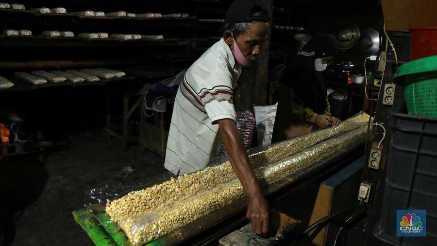 Suarso (68) menyelesaikan pembuatan tempe di kawasan Jakarta, Rabu (15/12/2021). Kementerian Perdagangan (Kemendag) memastikan, ketersediaan kedelai untuk bahan baku tempe dan tahu dalam negeri cukup untuk memenuhi kebutuhan Natal 2021 dan tahun baru 2022. Bahkan, Kemendag memperkirakan pasokan kedelai akan terjaga sampai kuartal I 2022.“Pasokan kedelai dari negara eksportir cukup baik. Saat ini negara produsen tengah memasuki masa panen, sehingga kami optimis pasokan kedelai akan cukup hingga kuartal pertama 2022,” kata Direktur Jenderal Perdagangan Luar Negeri, Oke Nurwan dikutip dari website resmi Kementerian Perdagangan.
Namun, ia tak merinci berapa jumlah pasokan kedelai yang tersedia saat ini. Ia hanya menyatakan dengan kecukupan pasokan itu, pihaknya memperkirakan harga kedelai stabil.
Sementara itu berdasarkan data Chicago Board of Trade (CBOT), harga kedelai dunia pada akhir November 2021 di sekitar USD12,17 per bushels atau setara USD446 per ton, turun dibanding awal Juni 2021 yang tercatat sebesar US$15,42 per bushel setara US$566 per ton.

