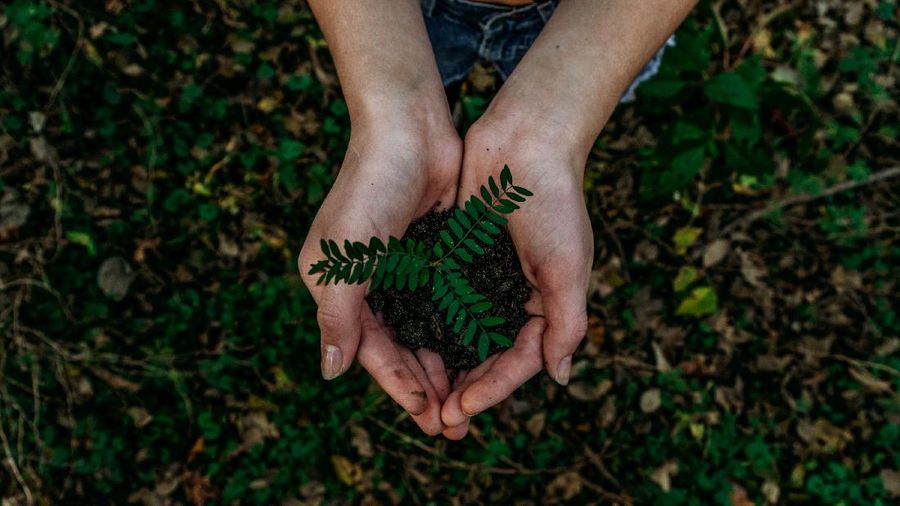 Ilustrasi (Photo by Noah Buscher on Unsplash)
