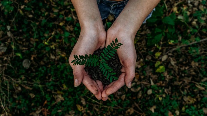 green energy Ilustrasi (Photo by Noah Buscher on Unsplash)