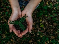 Sah! PTPP Energi Divestasi Saham Inpola Meka Energi