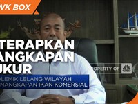 Optimalkan Produksi Ikan, KKP Terapkan Penangkapan Terukur