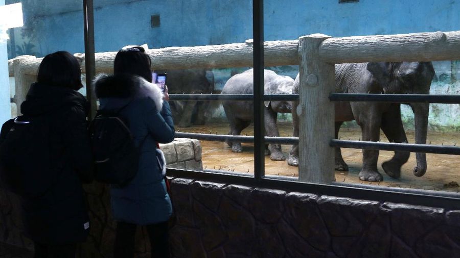 Warga mengunjungi patung perunggu mendiang pemimpin mereka Kim Il Sung, kiri, dan Kim Jong Il dalam rangka peringatan 10 tahun kematian Kim Jong Il di Bukit Mansu di Pyongyang, Korea Utara, Kamis (16/12/2021). (AP/Cha Song Ho)