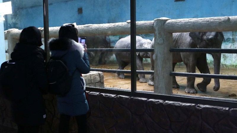 Warga mengunjungi patung perunggu mendiang pemimpin mereka Kim Il Sung, kiri, dan Kim Jong Il dalam rangka peringatan 10 tahun kematian Kim Jong Il di Bukit Mansu di Pyongyang, Korea Utara, Kamis (16/12/2021). (AP/Cha Song Ho)