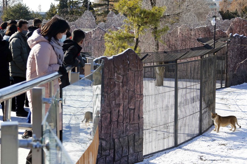 Warga Korea Utara mengunjungi patung perunggu mendiang pemimpin mereka Kim Il Sung, kiri, dan Kim Jong Il dalam rangka peringatan 10 tahun kematian Kim Jong Il di Bukit Mansu di Pyongyang, Korea Utara Warga mengunjungi patung perunggu mendiang pemimpin mereka Kim Il Sung, kiri, dan Kim Jong Il dalam rangka peringatan 10 tahun kematian Kim Jong Il di Bukit Mansu di Pyongyang, Korea Utara, Kamis (16/12/2021). (AP/Cha Song Ho)