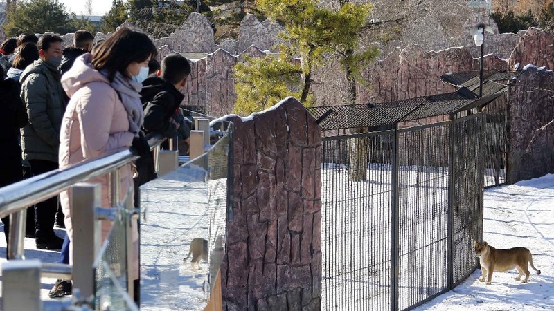 Warga mengunjungi patung perunggu mendiang pemimpin mereka Kim Il Sung, kiri, dan Kim Jong Il dalam rangka peringatan 10 tahun kematian Kim Jong Il di Bukit Mansu di Pyongyang, Korea Utara, Kamis (16/12/2021). (AP/Cha Song Ho)