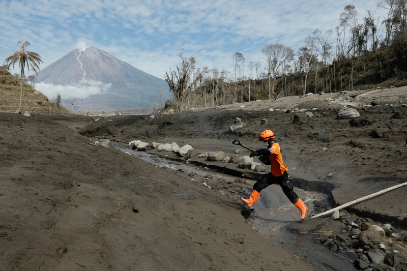 Kondisi terkini Gunung Semeru, Lumajang. (REUTERS/WILLY KURNIAWAN)