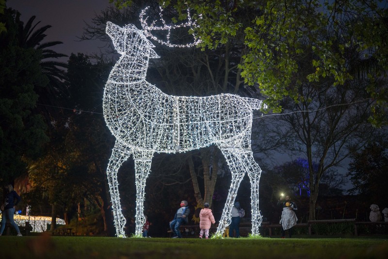 Orang-orang berjalan di jembatan saat lampu Natal menerangi Darsena dei Navigli, lingkungan yang dinamai kanal yang melintasi area Milan, Italia. (AP Photo/Luca Bruno)