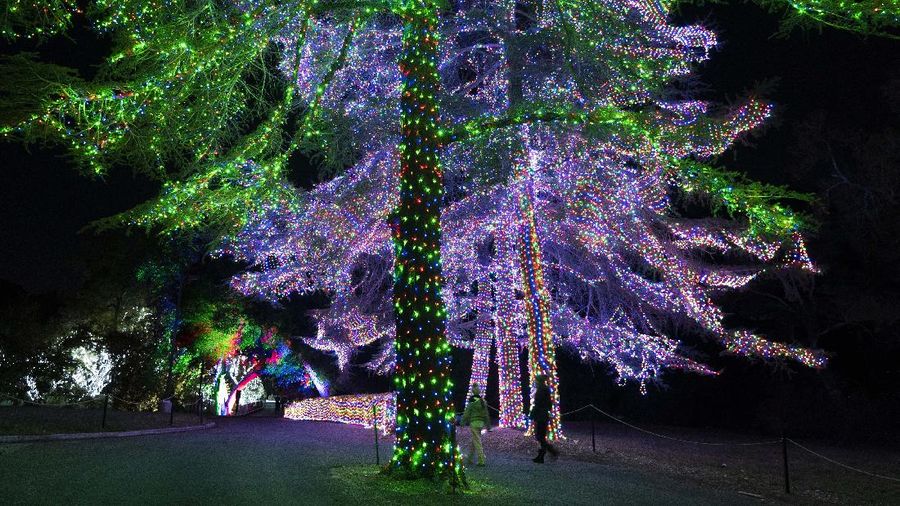 Dua pengunjung berjalan melewati pohon-pohon yang dihiasi lampu Natal di pertunjukan cahaya Holiday Road di Calabasas, California, (AP/Jae C. Hong)